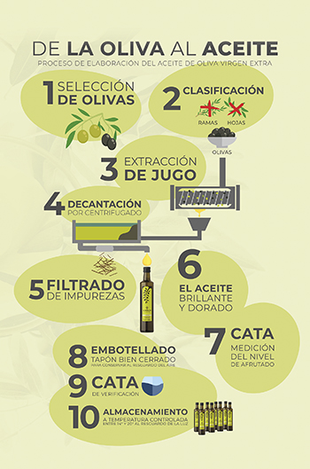 Proceso elaboración del aceite de oliva