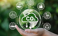 Mercado de carbono: Importancia para las cadenas y los profesionales del sistema agroalimentario. CPIA - AAEA
