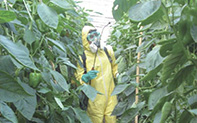 Gestin de la prevencin en la empresa agraria en el marco del Proyecto INTA PDI094